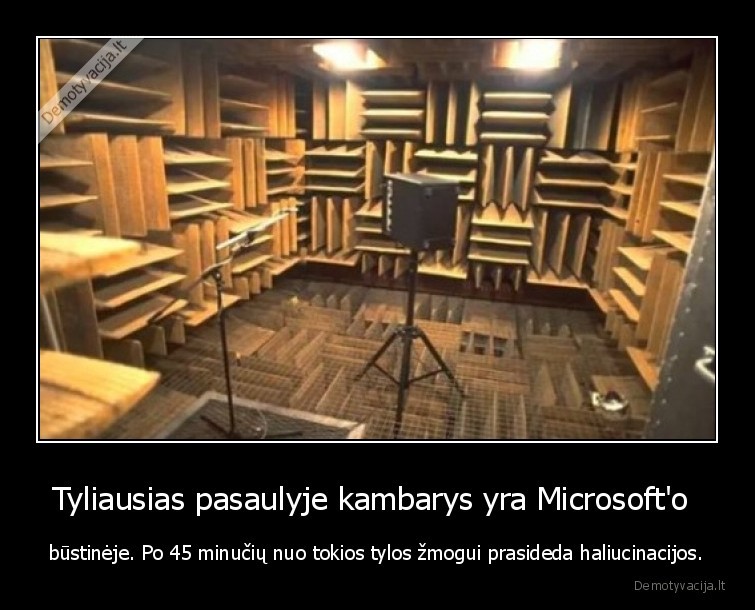haliucinacijos,garsas,tyla,microsoft