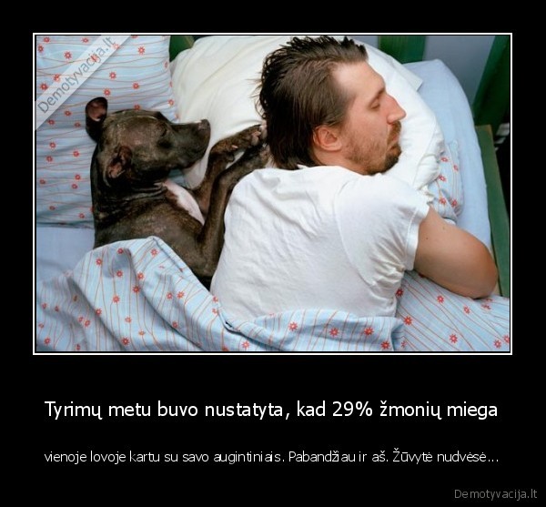miegas, su, zuvimi,zuvytes, seimininkas