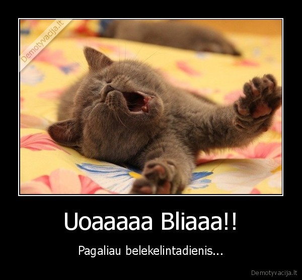 Uoaaaaa Bliaaa!!