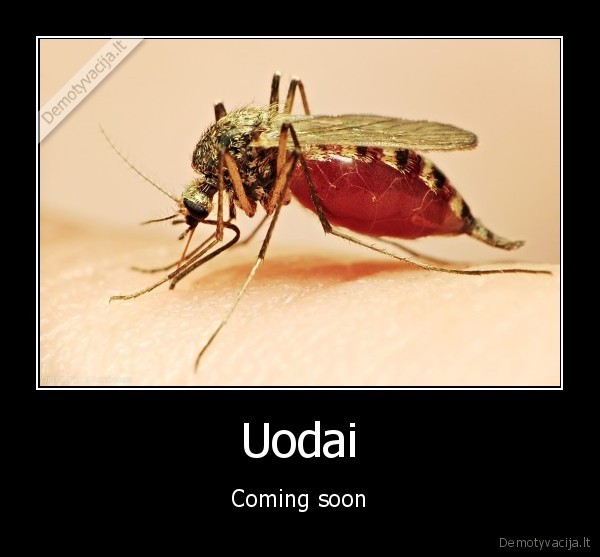 Uodai