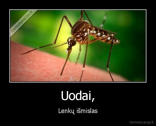 Uodai,