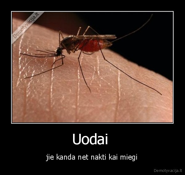 Uodai 