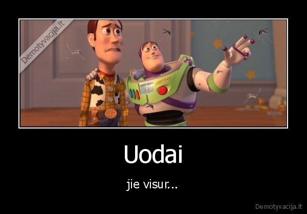 uodai,vasara