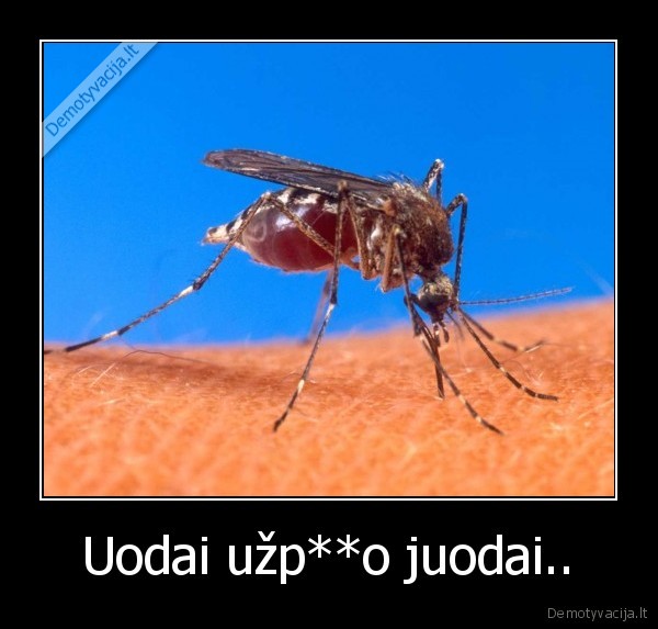 uodas,kanda,nekenciu,musu,kraujas,tyska, i,visas,puses