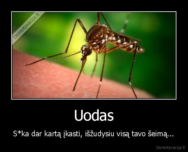 uodai,ikandimas