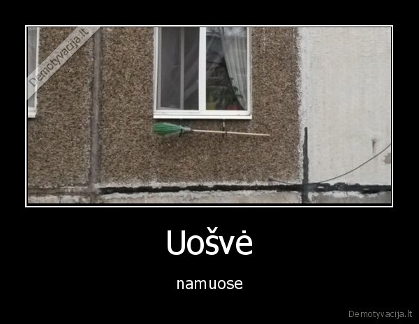 uosve,sluota