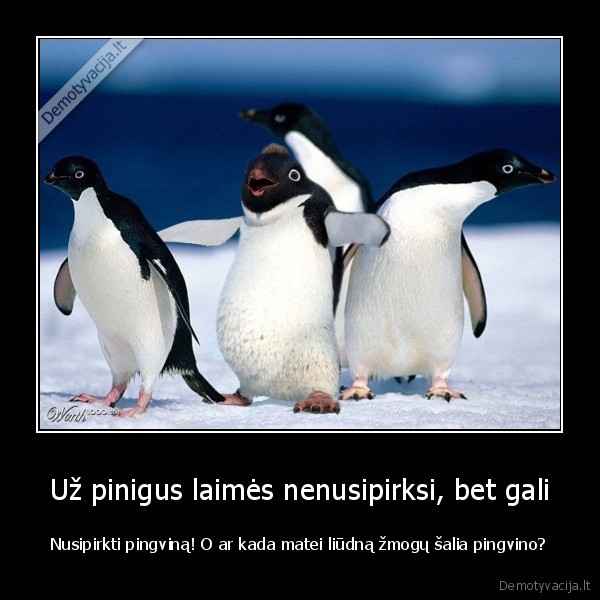 liudnas, zmogus,linksmas, pingvinas,laimes, receptas