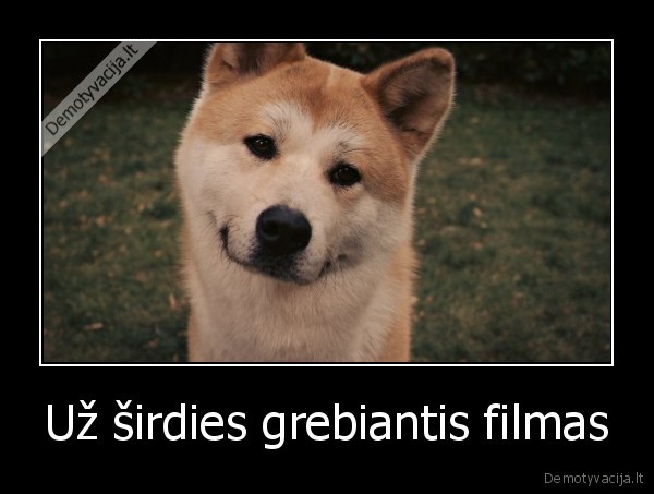 akita, hachiko, dog, story