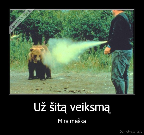Už šitą veiksmą