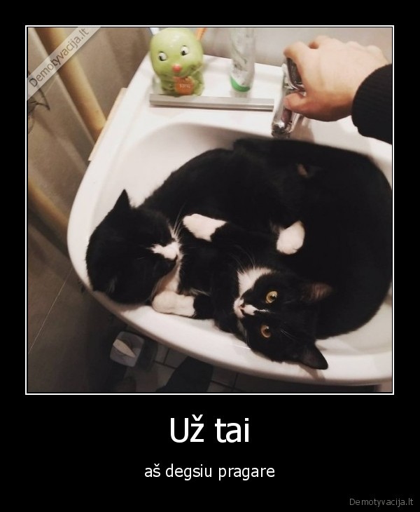 Už tai