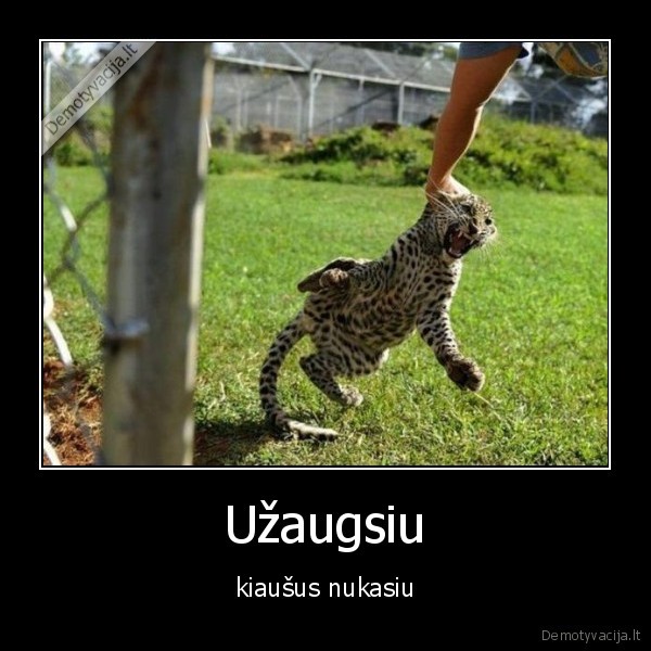 kiausai