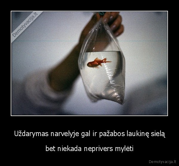 narvelis,meile
