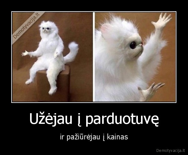 kainos,parduotuve