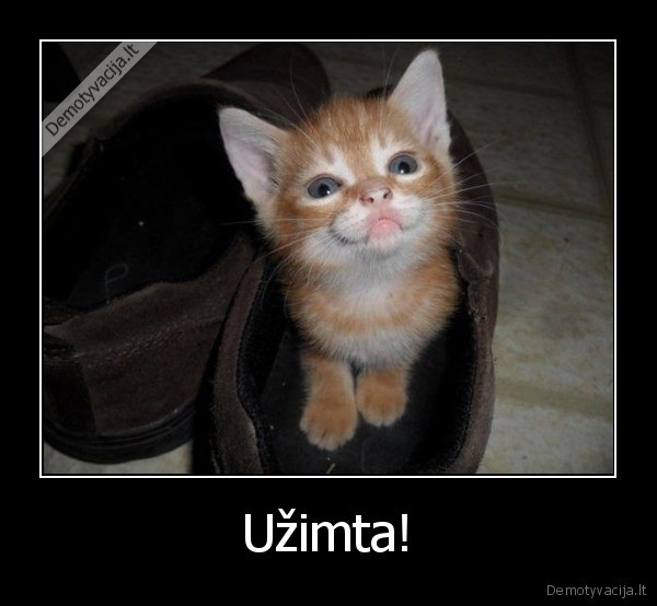 kaciukas,uzimta