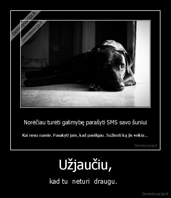 suo,draugai, kuriu, nera,sms,telefonas