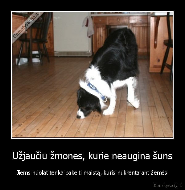 suo,valgo, nuo, grindu