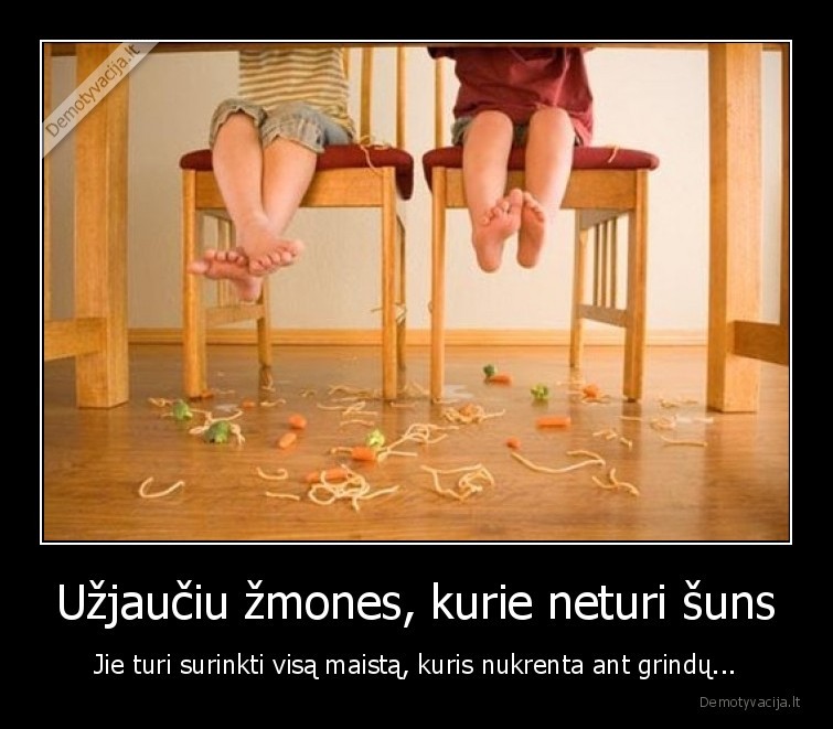 suo,maistas