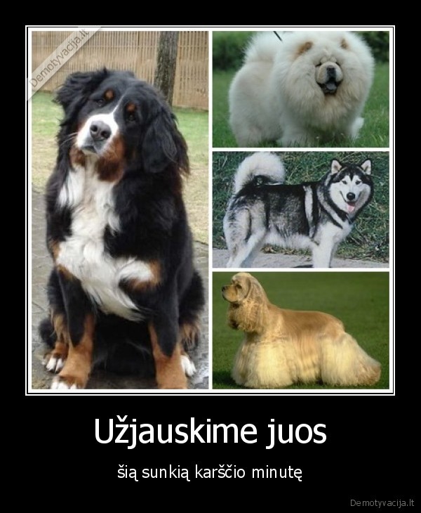 Užjauskime juos