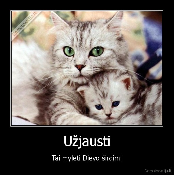 Užjausti