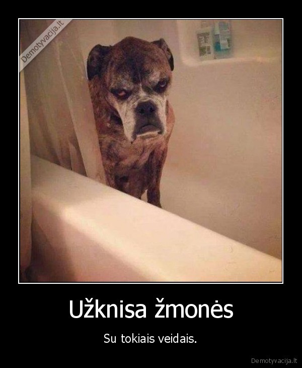 zmones,pikti,veidai