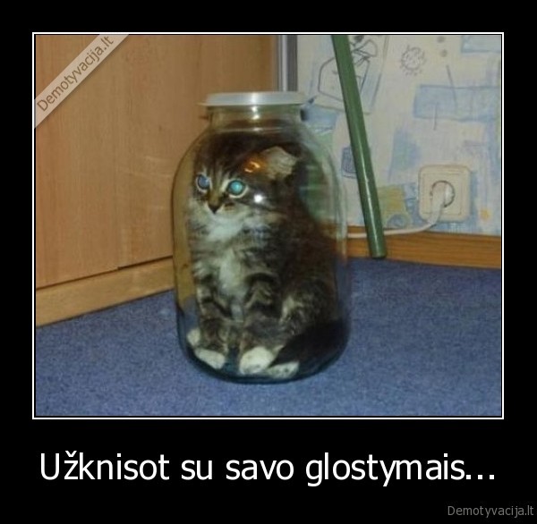 uzknisot,uzpisot,katinas,stiklainis,katinas, stiklainyje,slovikas