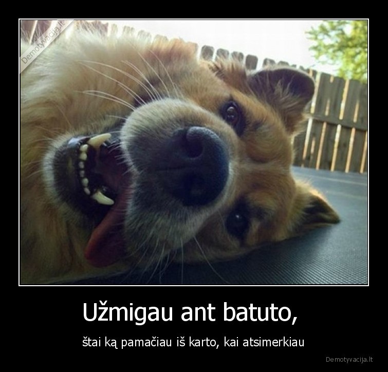 batutas,suo,laime