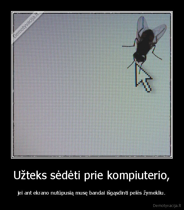 Užteks sėdėti prie kompiuterio,