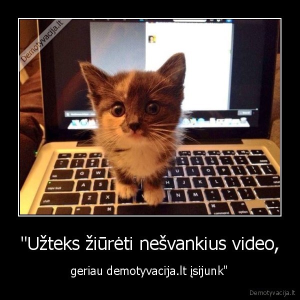 kate,katinas,demotyvacija