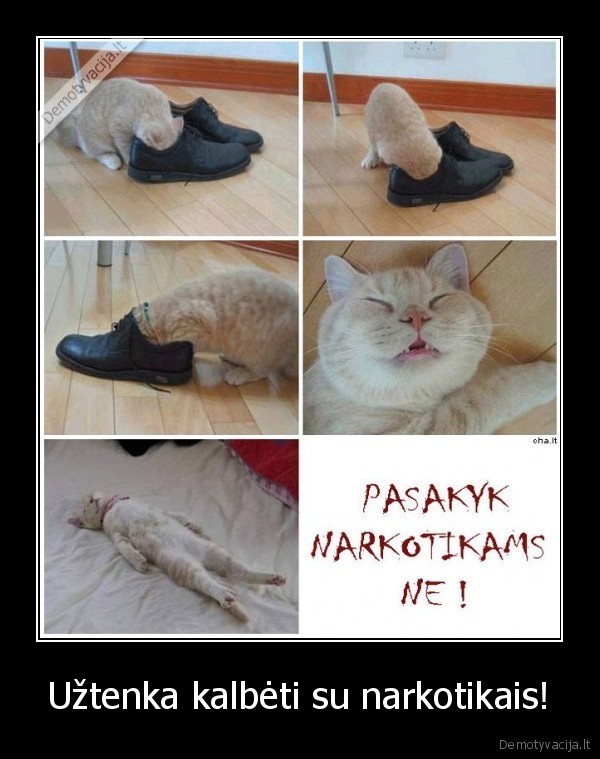 Užtenka kalbėti su narkotikais!