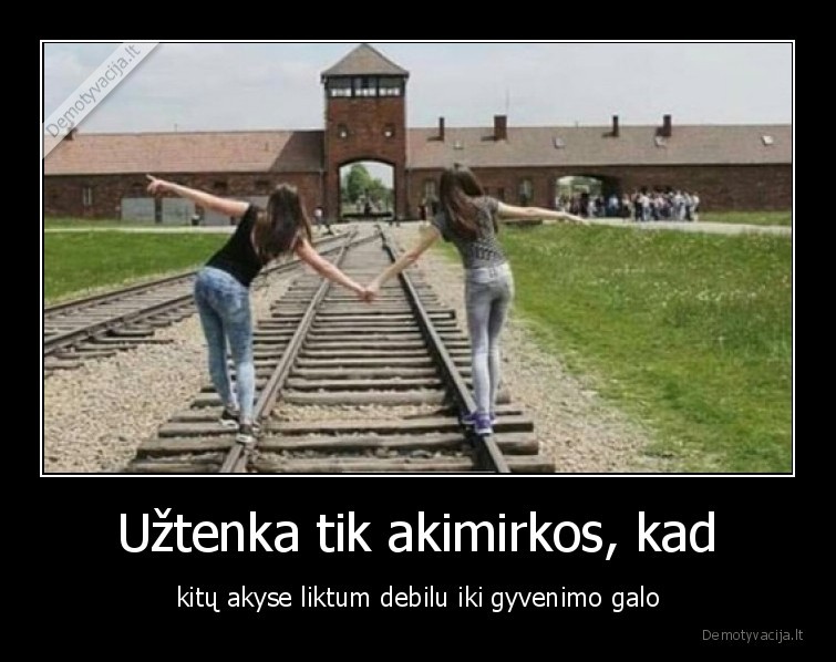debilas,akimirka,draugas
