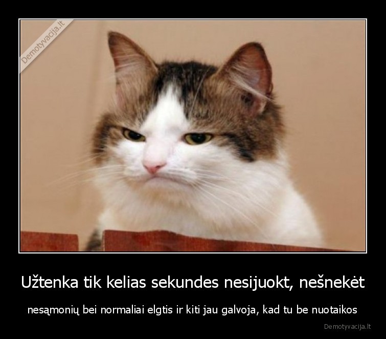 nera, nuotaikos,rimtas