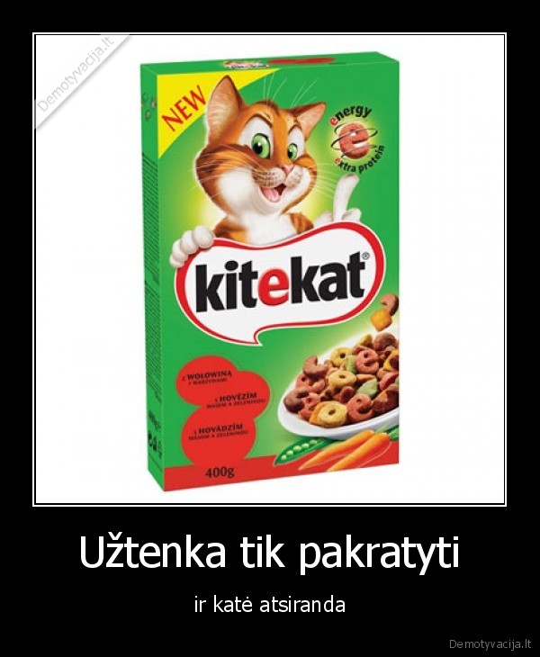 kad, turi, kates, supras, sajanai