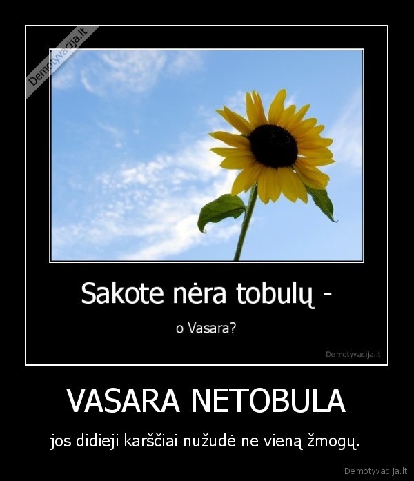 VASARA NETOBULA
