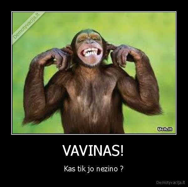 vavinas, bezdziones