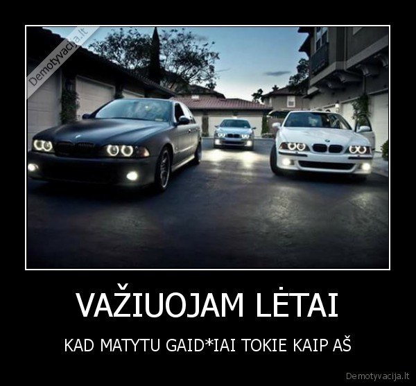 VAŽIUOJAM LĖTAI
