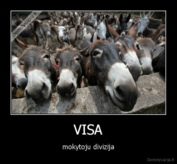 mokytojai