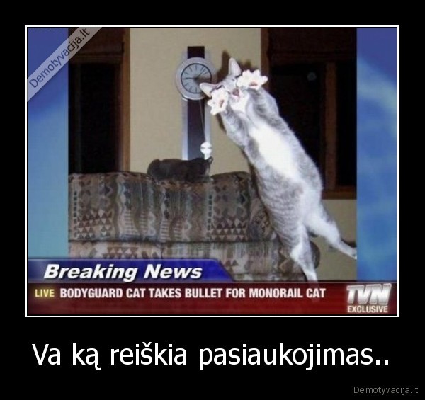 Va ką reiškia pasiaukojimas..