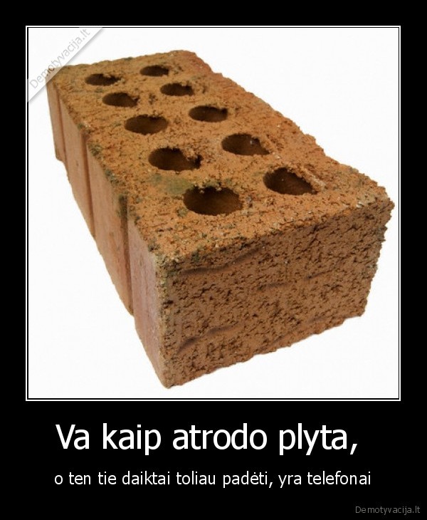 plyta