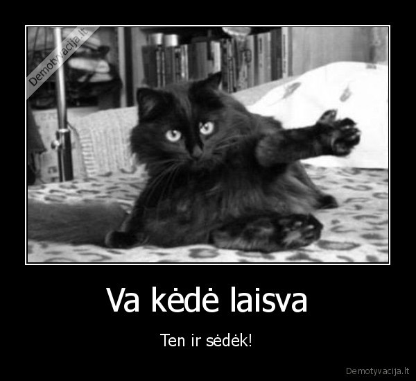 katinas,kede