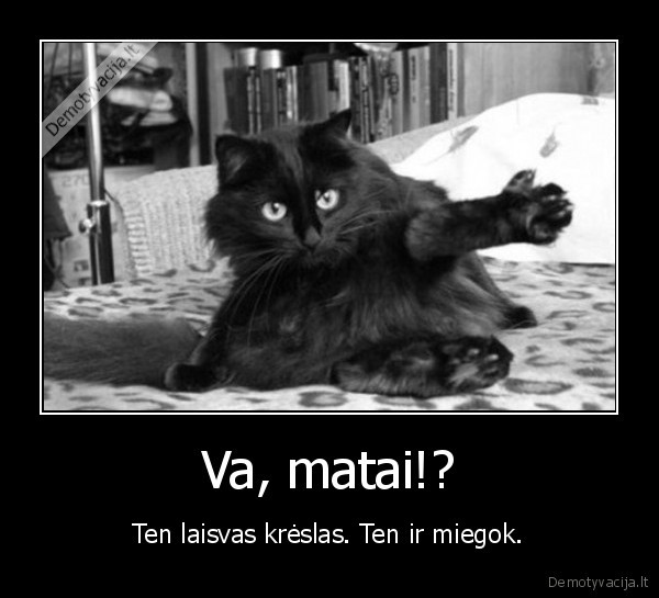 Va, matai!?
