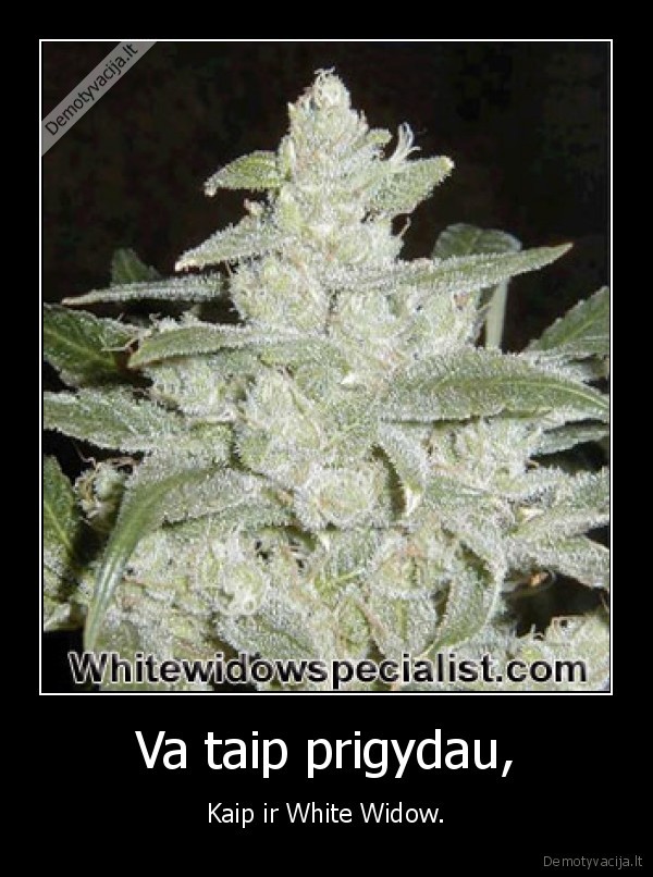 Va taip prigydau,