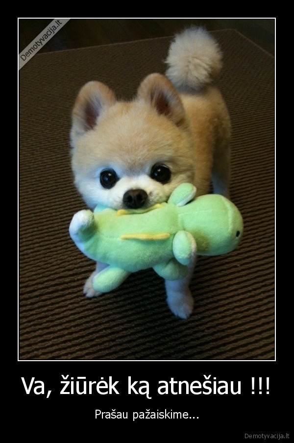 Va, žiūrėk ką atnešiau !!!
