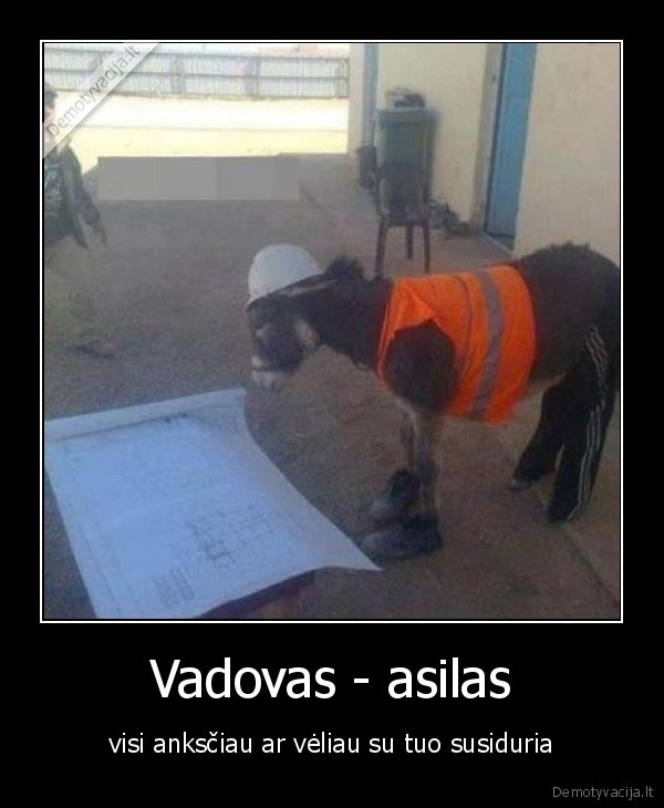 Vadovas - asilas