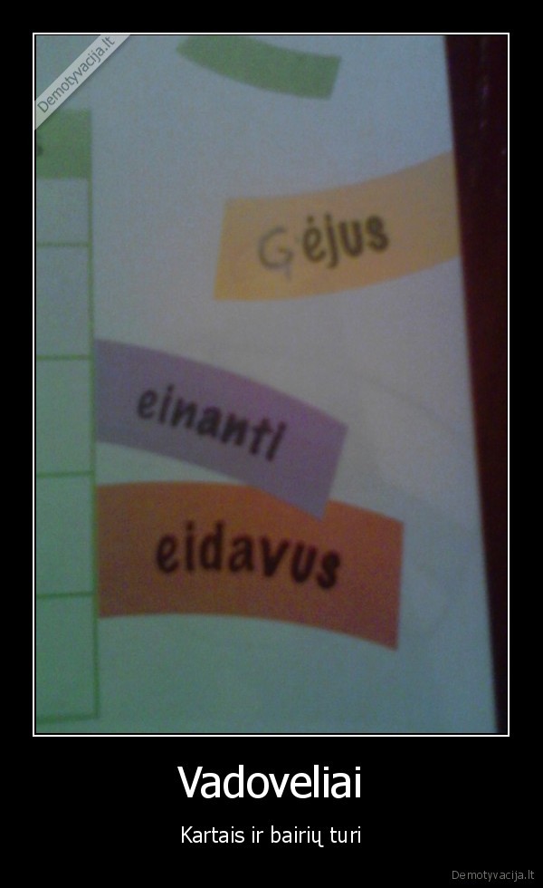 vadoveliai,bairis,gejus,lol