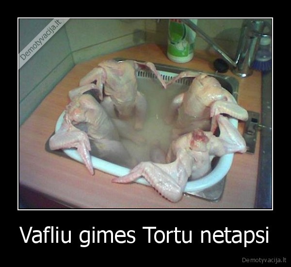 gyvenimo,ismintis