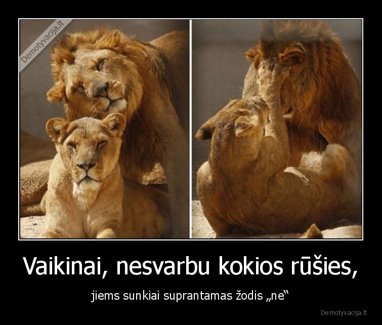 vaikinai,liutas,ne,tai,taip