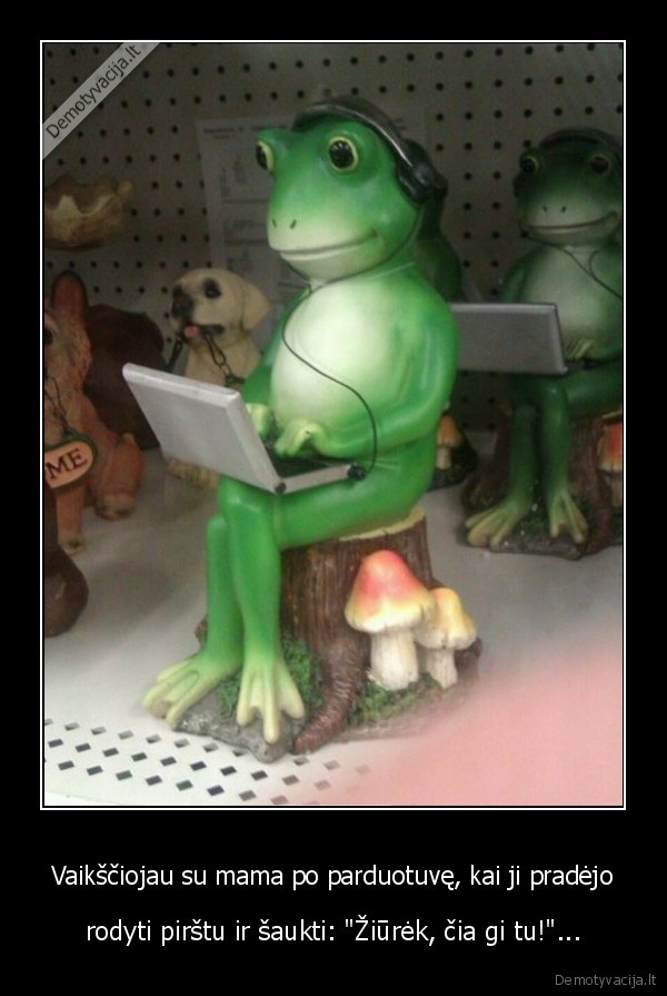 varle,kompiuteris,statulele