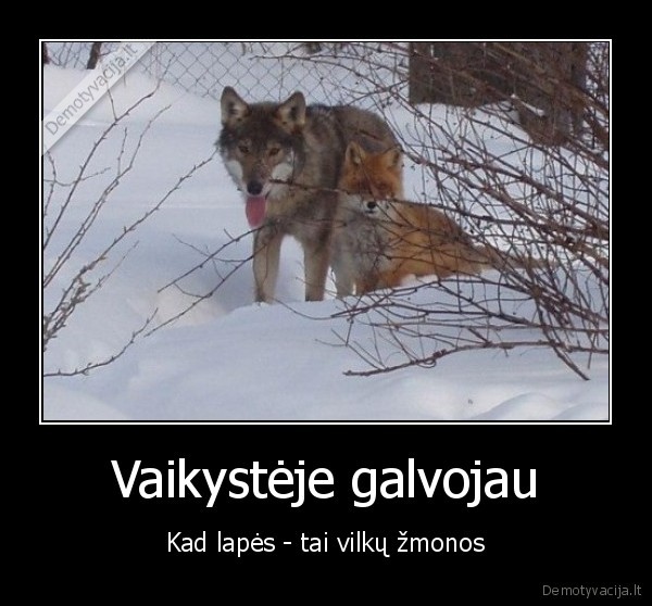 lapes,vilkai