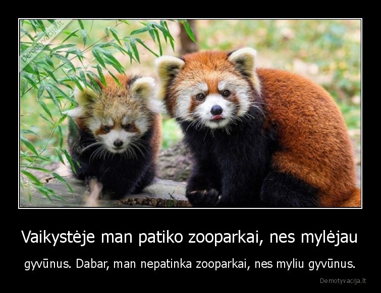 zooparkai,gyvunai,zoo,kalejimas