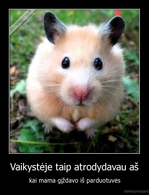 ziurkenas,vaikyste,pirkiniai